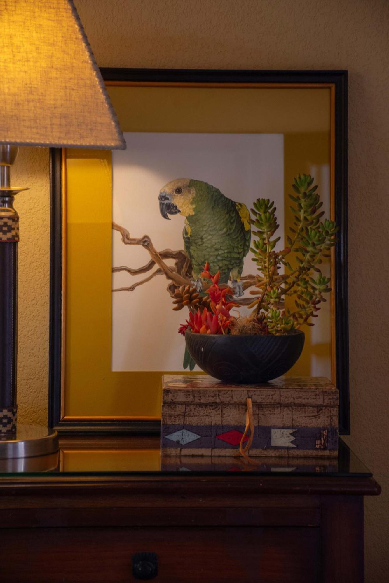 Villa Vicuna Cafayate Boutique Hotel מראה חיצוני תמונה